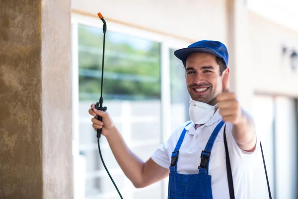 Weslaco Wasp Removal