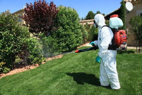 Weslaco Mosquito Control