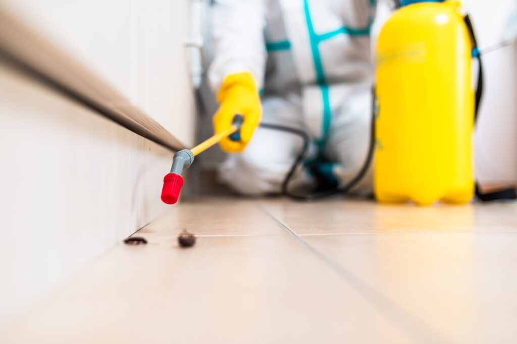 Weslaco Cockroach Experts