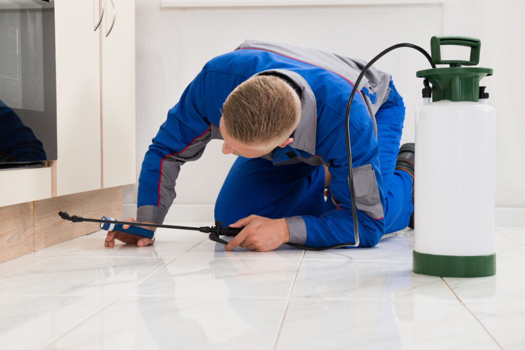 Weslaco Ant Control Xperts