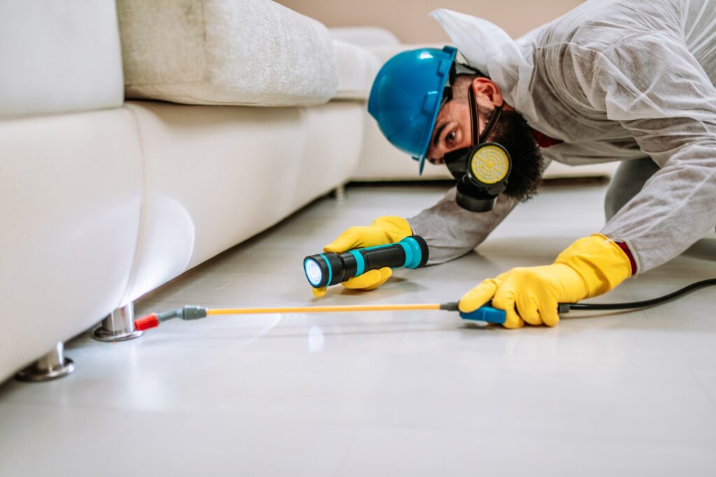 Weslaco Termite Control