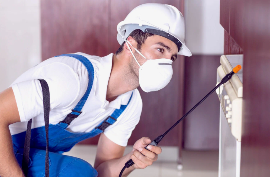Weslaco local pest services
