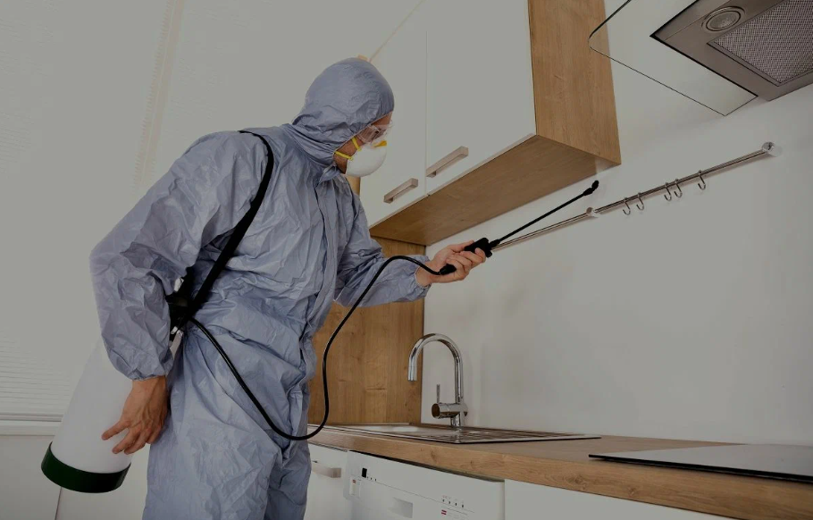 Weslaco pest managment